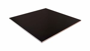 Birch/9PLY/Film/Film 12x1250x2500